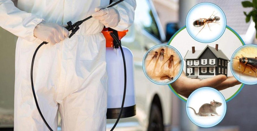 Bayat Böcek İlaçlama