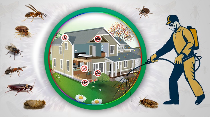 Bayat Böcek İlaçlama