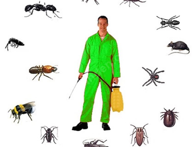 Bayat Böcek İlaçlama